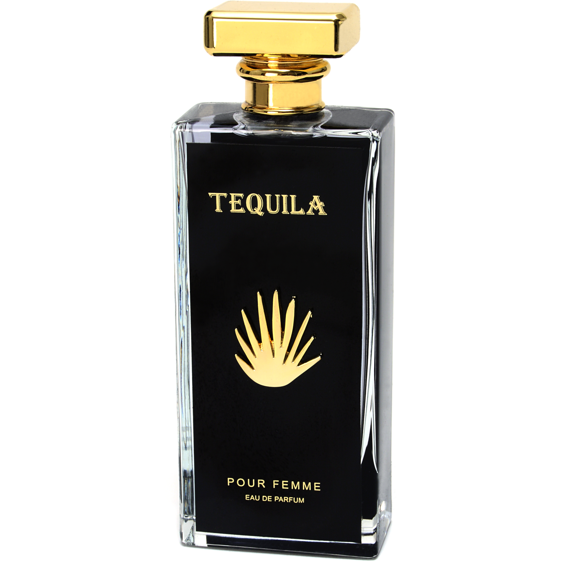 Tequila Pour Homme Bleu by Tequila Perfumes - 3.3 oz Eau de Parfum Spray - Men