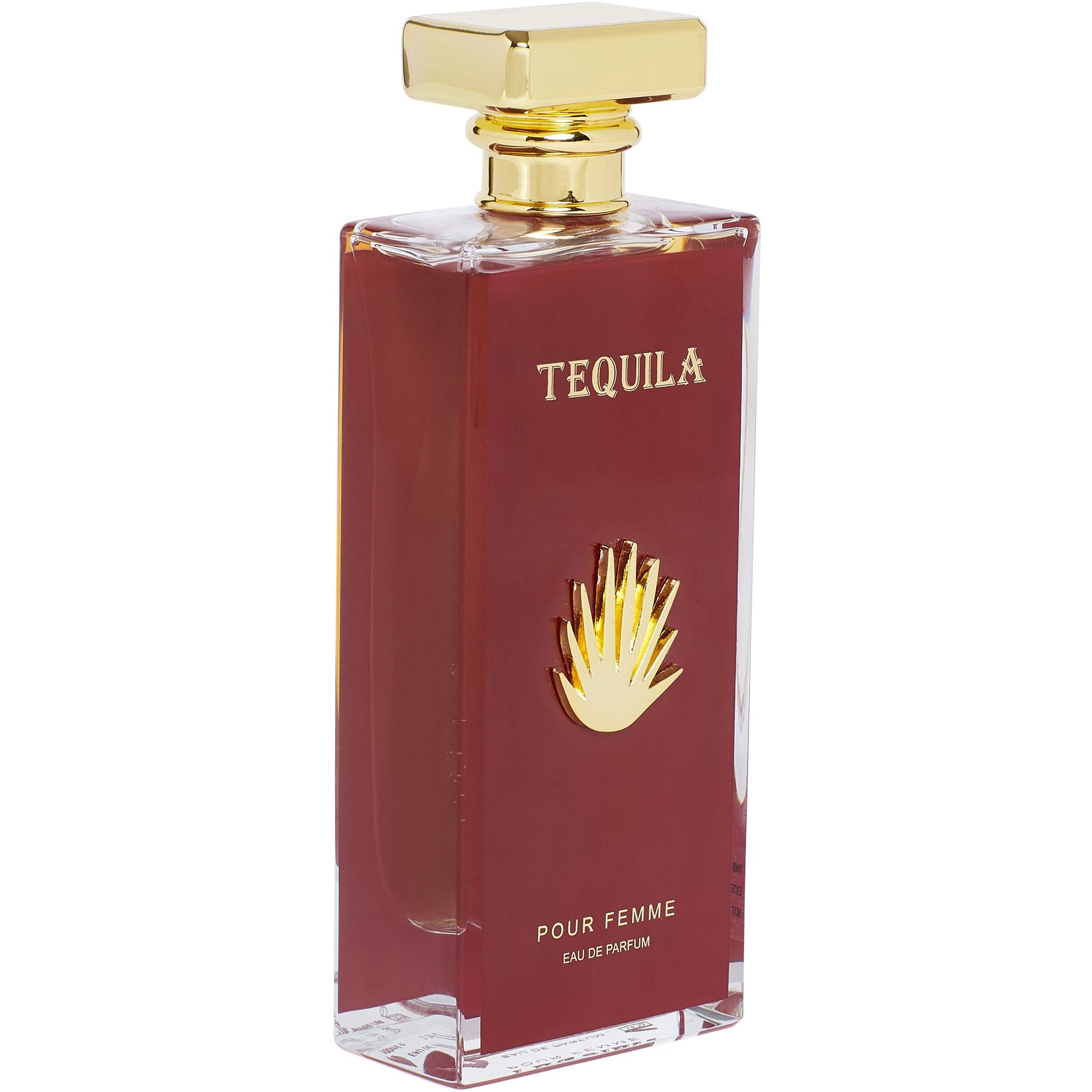 Tequila Pour Homme Noir by Tequila Perfumes Eau De Parfum Spray 3.3 oz